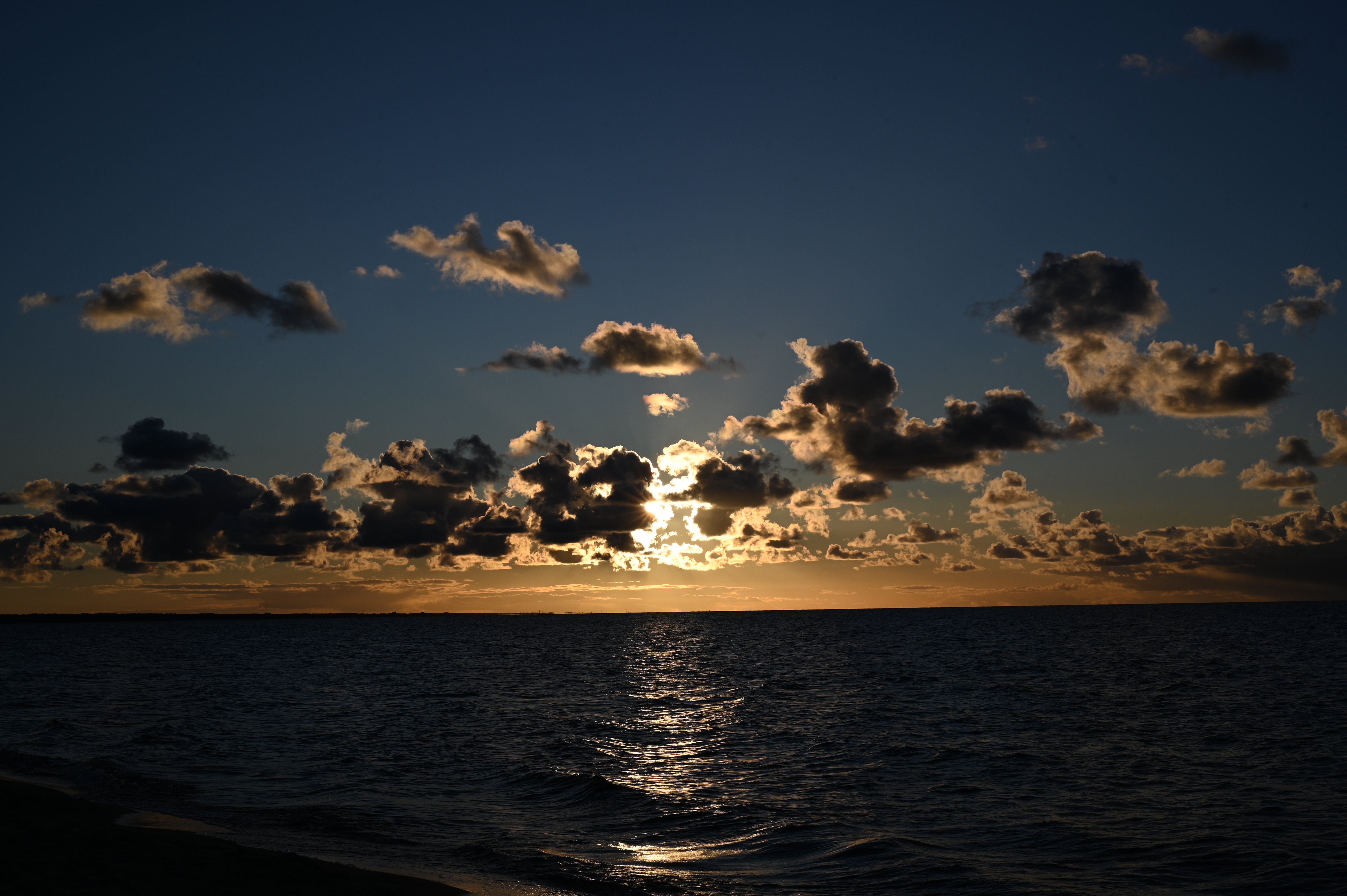 2025/10/18 - walk/DSC_0275.JPG